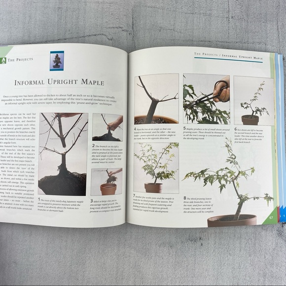 Grow Your Own Bonsai How To Book Step by Step Instructions and Projects - Picture 6 of 9
